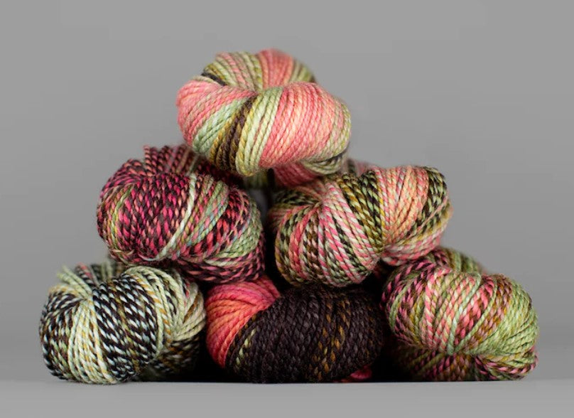 Spincycle Yarns Dyed in the Wool One More Row Woodstock