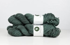 Hudson Dk