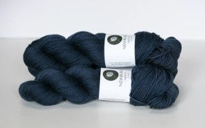 Hudson Dk