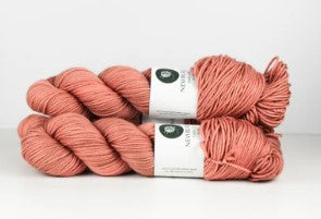 Hudson Dk